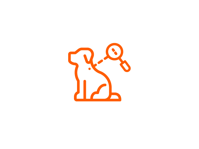 Umbraco.Cms.Infrastructure.PublishedCache.Property